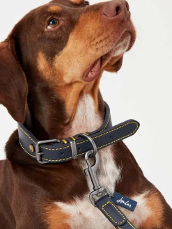 Blue Adjustable Leather Dog Collar
