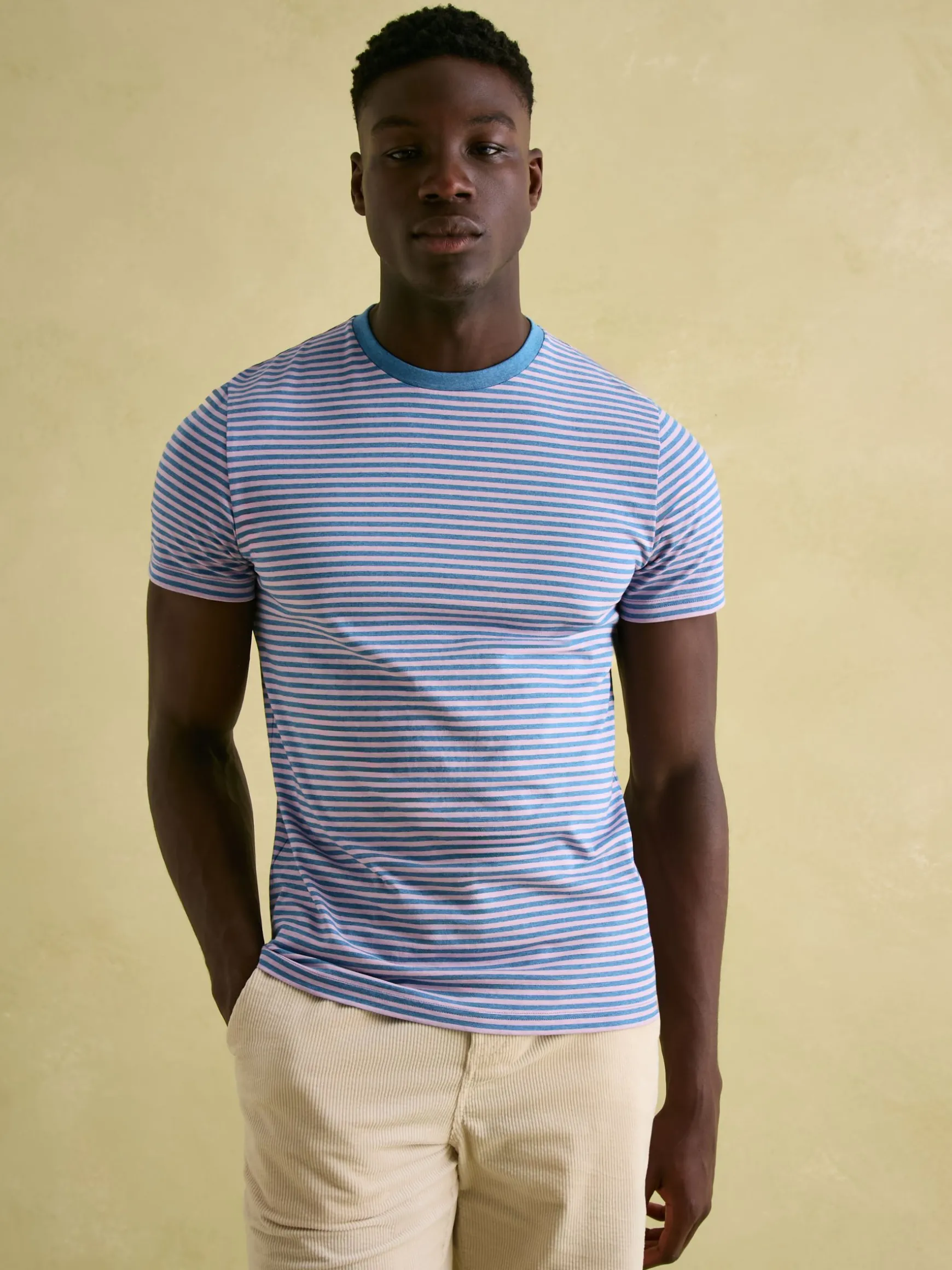 Boathouse Pink Stripe Jersey Crew Neck T-Shirt