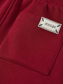 Boys' Ted Burgundy Red Relaxed Fit Joggers