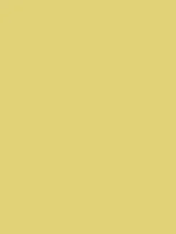 Cornish Sun Yellow Multi Surface Matt Emulsion