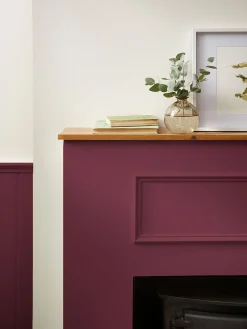 Foxton Sloes Purple Multi Surface Matt Emulsion