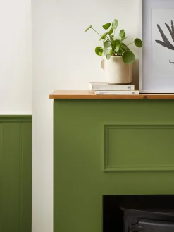 Galoshes Green Surface Matt Emulsion