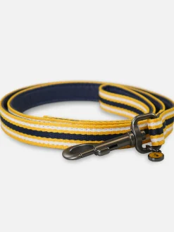 Multi Coastal Stripe Dog Lead