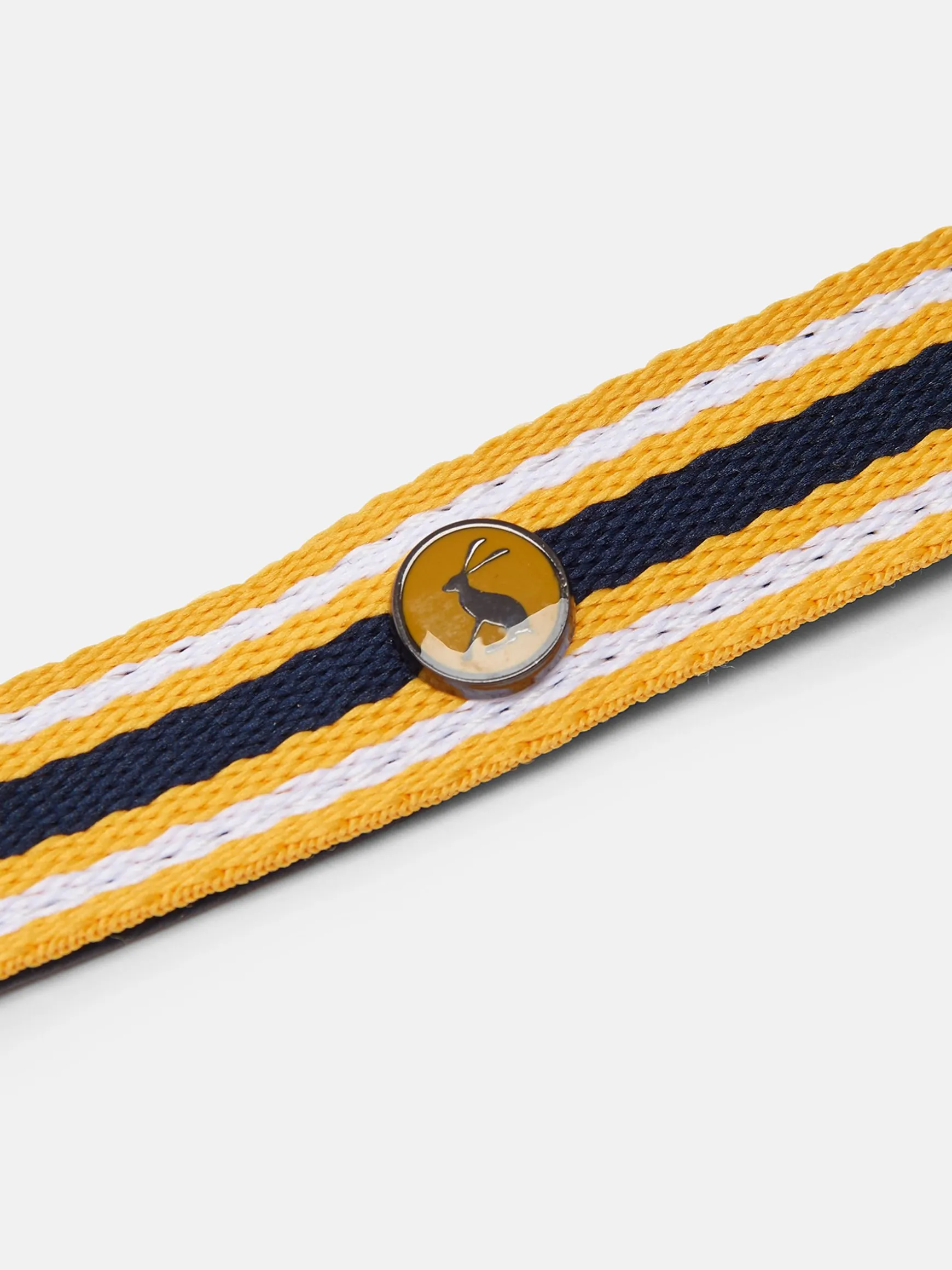 Multi Coastal Stripe Dog Lead