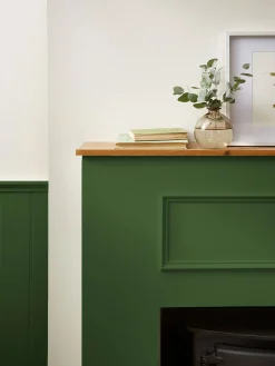 Peak Green Multi Surface Matt Emulsion