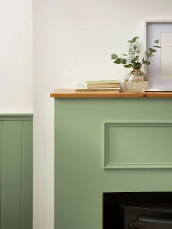 Swanton Novas Green Multi Surface Matt Emulsion